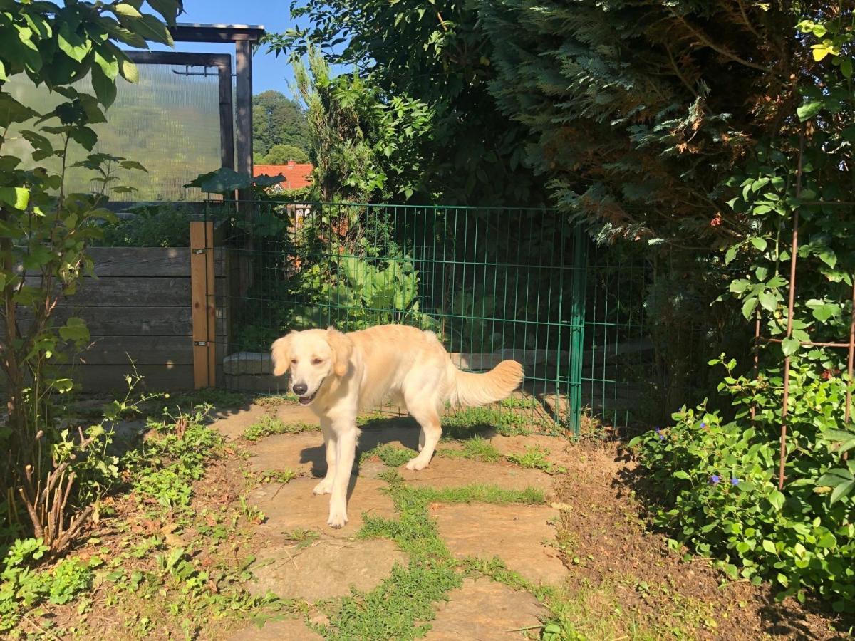 Millies Hosting - Familienurlaub Mit Hund In Kaernten Apartment Sankt Paul im Lavanttal Exterior foto