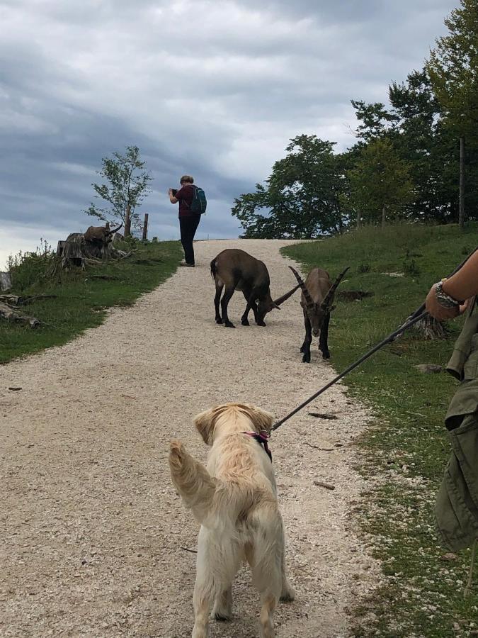 Millies Hosting - Familienurlaub Mit Hund In Kaernten Apartment Sankt Paul im Lavanttal Exterior foto