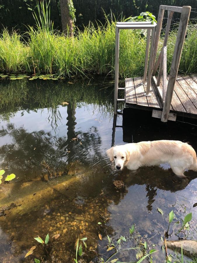 Millies Hosting - Familienurlaub Mit Hund In Kaernten Apartment Sankt Paul im Lavanttal Exterior foto