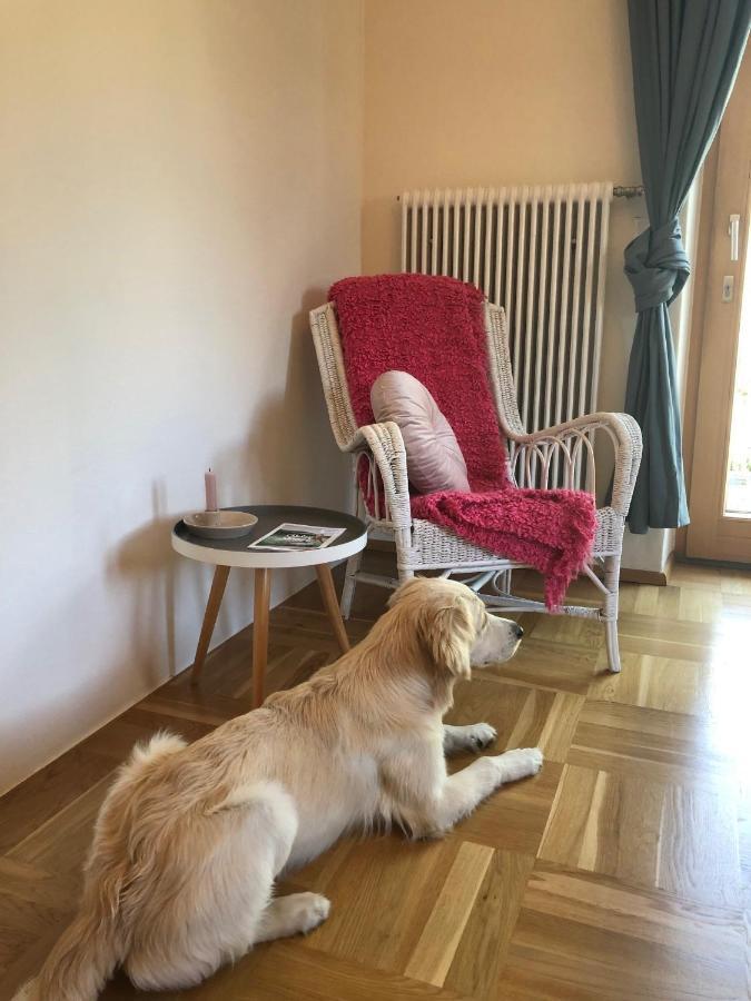 Millies Hosting - Familienurlaub Mit Hund In Kaernten Apartment Sankt Paul im Lavanttal Exterior foto