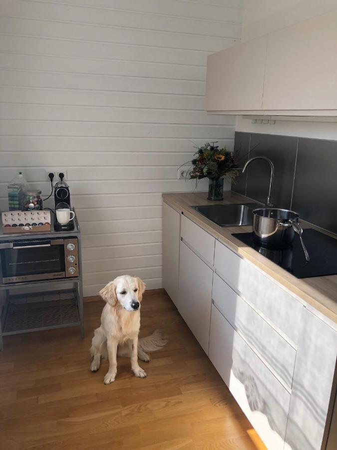 Millies Hosting - Familienurlaub Mit Hund In Kaernten Apartment Sankt Paul im Lavanttal Exterior foto