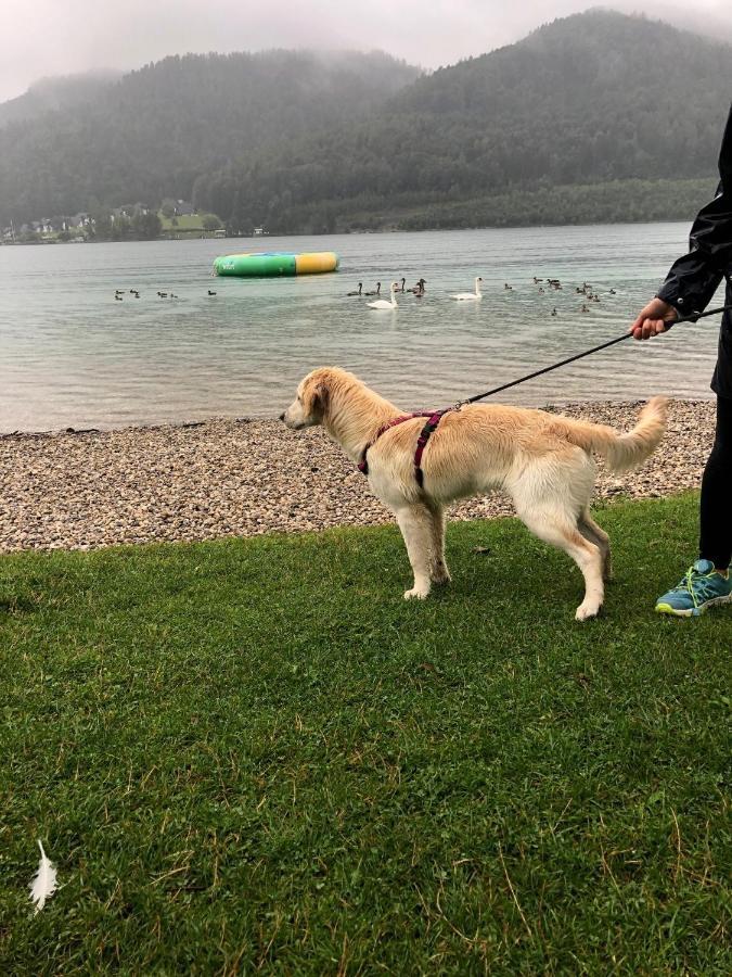 Millies Hosting - Familienurlaub Mit Hund In Kaernten Apartment Sankt Paul im Lavanttal Exterior foto