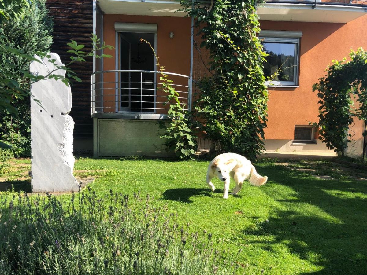 Millies Hosting - Familienurlaub Mit Hund In Kaernten Apartment Sankt Paul im Lavanttal Exterior foto