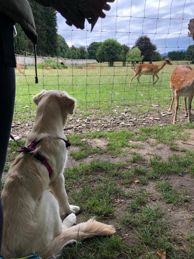 Millies Hosting - Familienurlaub Mit Hund In Kaernten Apartment Sankt Paul im Lavanttal Exterior foto